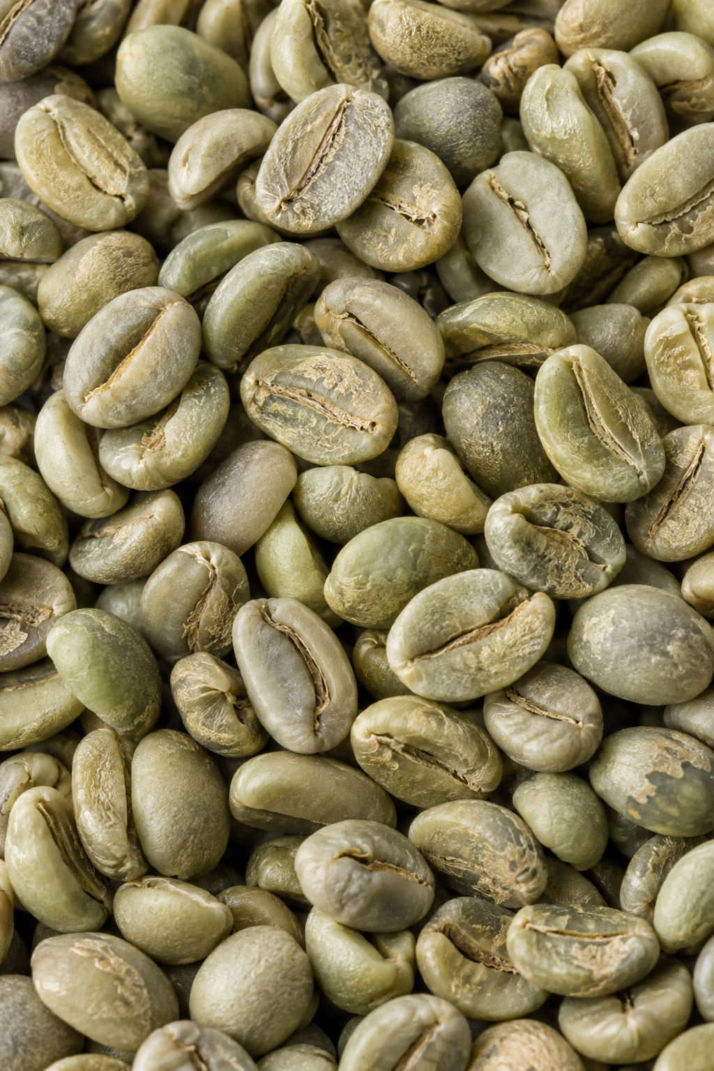 Illustrative close-up of pale green, unroasted Arabica coffee beans